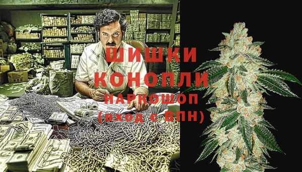 прущие грибы Козельск