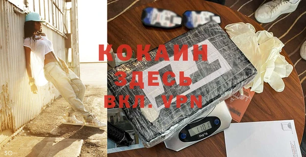 прущие грибы Козельск