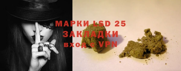 прущие грибы Козельск
