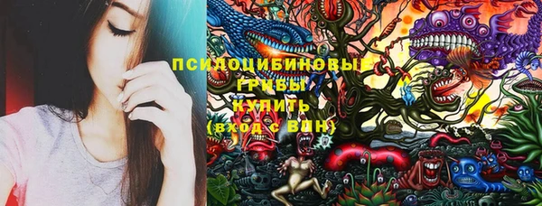 первитин Коряжма