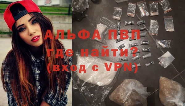 прущие грибы Козельск