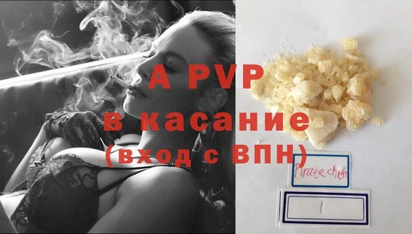 прущие грибы Козельск