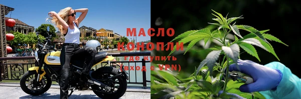 прущие грибы Козельск